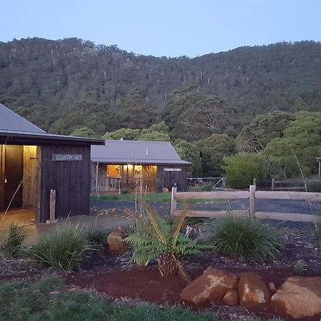 Rustic Hut Bush Retreat Penguin Exterior foto